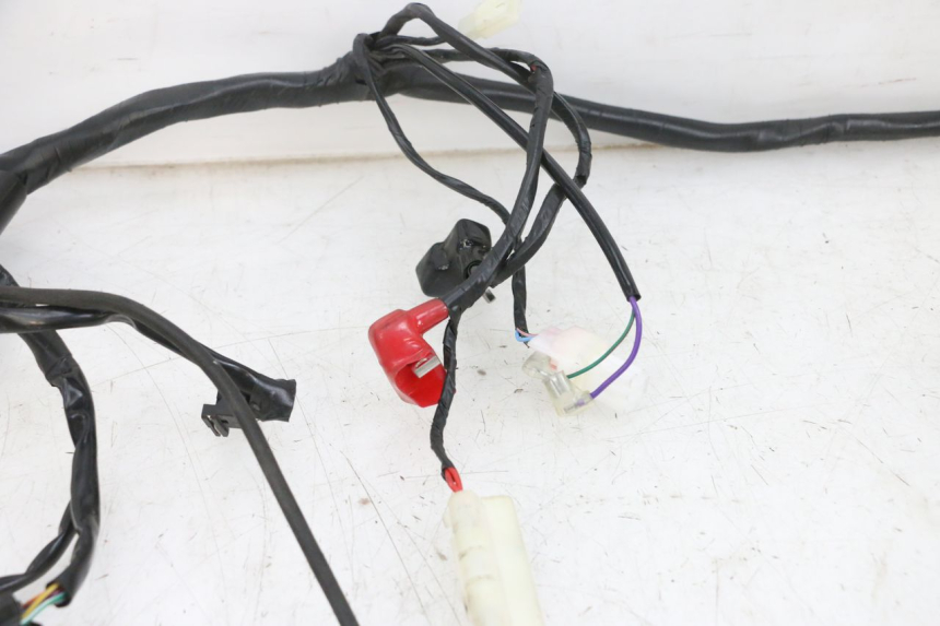 photo de WIRE HARNESS JM MOTORS SANTANA EVO 50 (2024 - 2026) - Component zoom