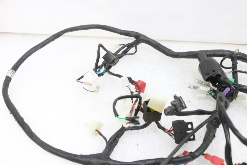 photo de WIRE HARNESS JM MOTORS SANTANA EVO 50 (2024 - 2026) - Technical close-up