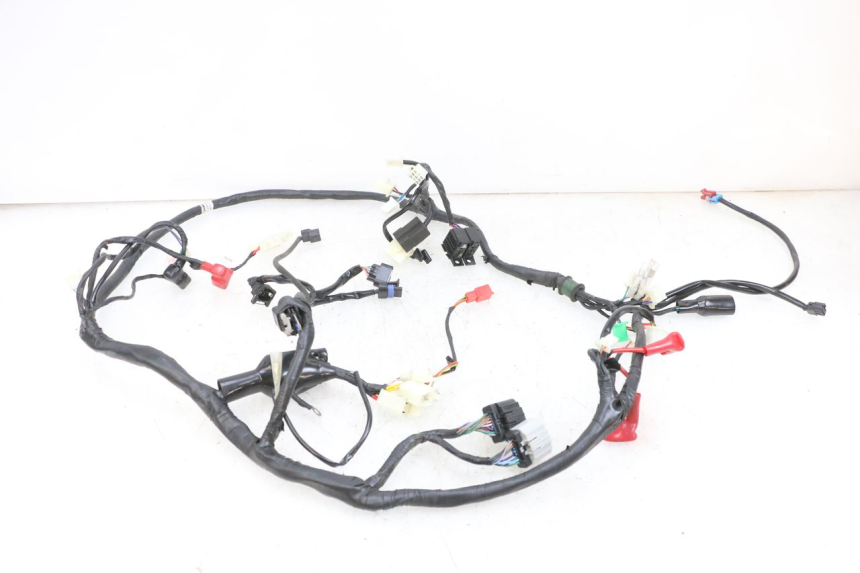 photo de WIRE HARNESS JM MOTORS SANTANA EVO 50 (2024 - 2026) - Markings and original references
