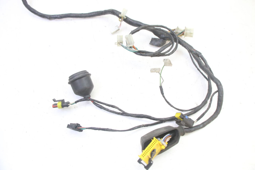 photo de WIRE HARNESS PEUGEOT SATELIS 250 (2006 - 2012)