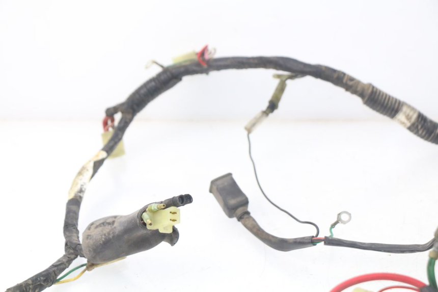 photo de WIRE HARNESS PEUGEOT SC 50 (1988 - 1992)