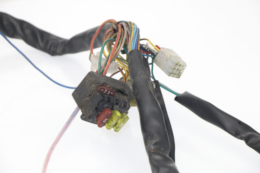 photo de WIRE HARNESS APRILIA SCARABEO GT 125 (1999 - 2007)