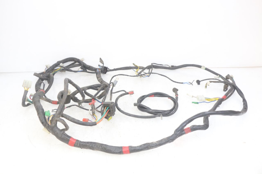 photo de WIRING HARNESS APRILIA SCARABEO LIGHT 125 (2007 - 2011)