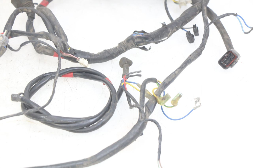 photo de WIRING HARNESS APRILIA SCARABEO LIGHT 125 (2007 - 2011)