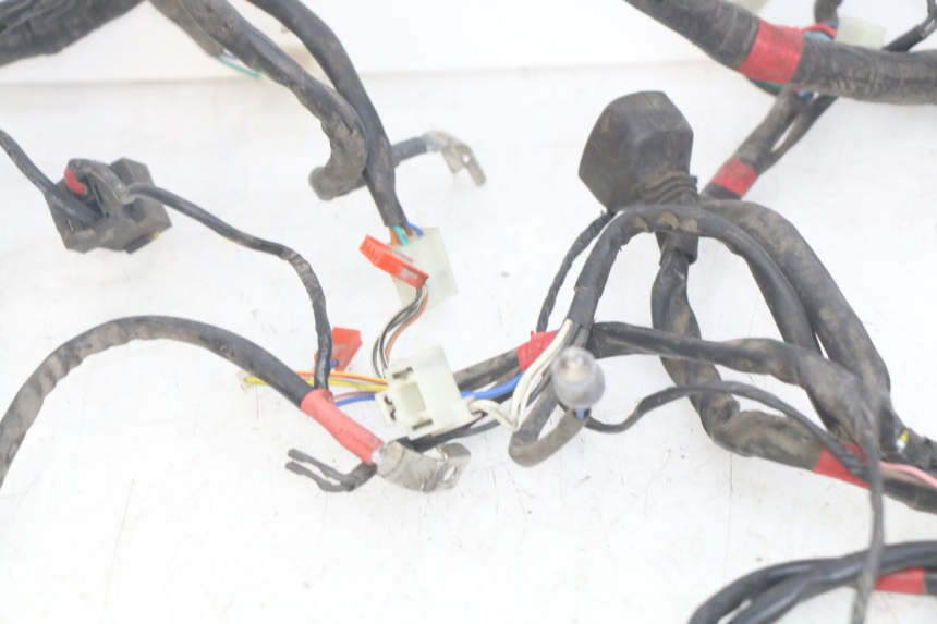 photo de WIRING HARNESS APRILIA SCARABEO LIGHT 125 (2007 - 2011)