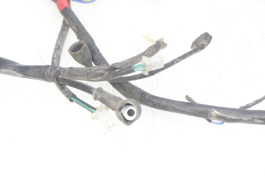 photo de WIRING HARNESS APRILIA SCARABEO LIGHT 125 (2007 - 2011)