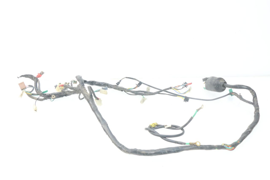 photo de WIRE HARNESS HONDA SCV LEAD 100 (2003 - 2007)