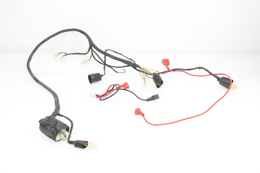 photo de WIRE HARNESS SHENKE WACOX 50 (2010 - 2016)