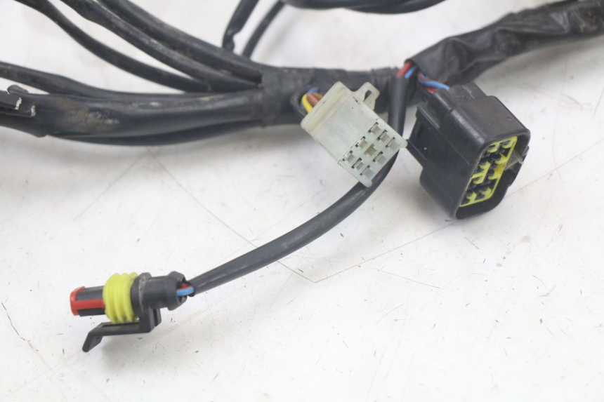 photo de WIRE HARNESS SHERCO SM-R 50 (2013 - 2017)