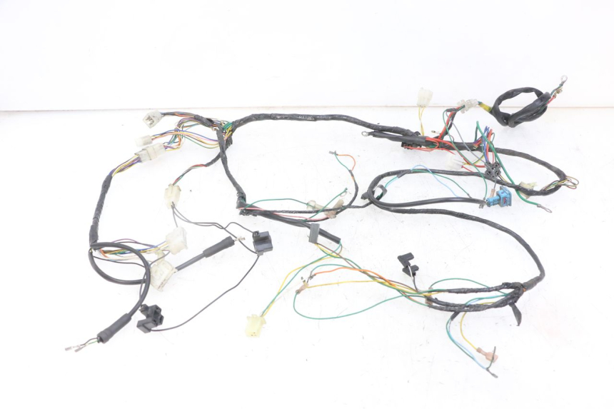 photo de WIRE HARNESS PEUGEOT SPEEDFIGHT 2 LC 50 (2000 - 2009)