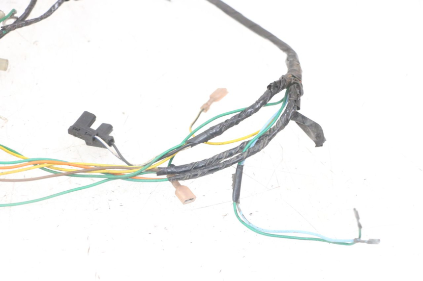 photo de WIRE HARNESS PEUGEOT SPEEDFIGHT 2 LC 50 (2000 - 2009)