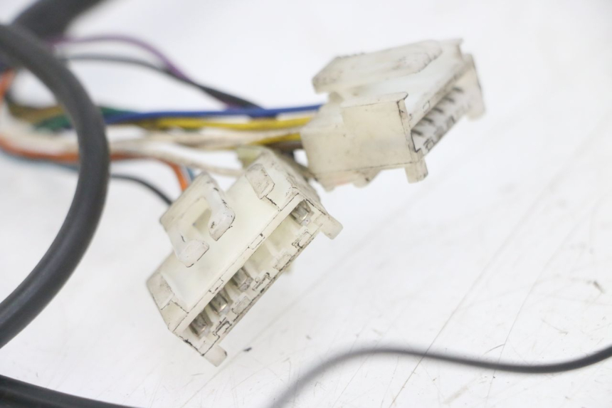 photo de WIRE HARNESS PEUGEOT SPEEDFIGHT 2 LC 50 (2000 - 2009)