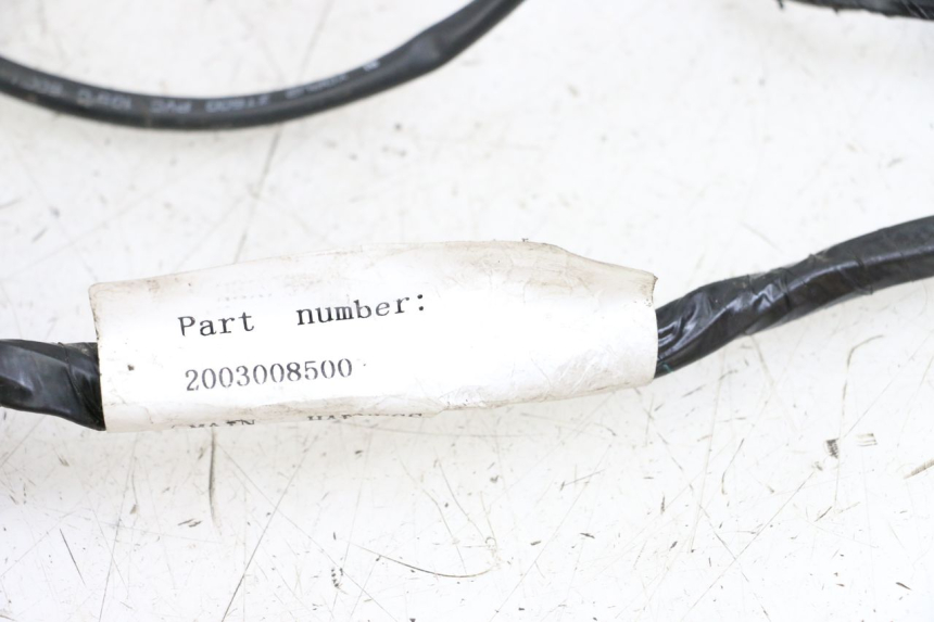 photo de WIRE HARNESS PEUGEOT SPEEDFIGHT 4 2T 50 (2015 - 2019)