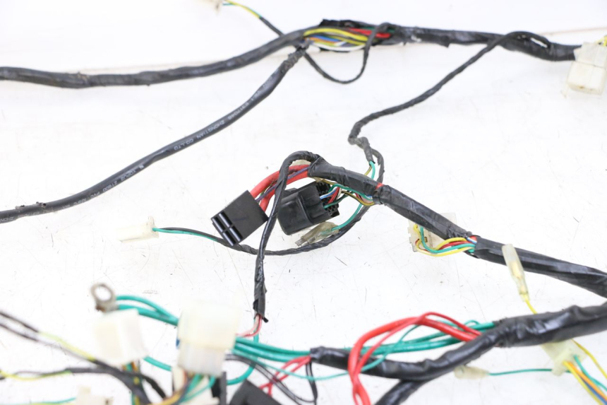 photo de WIRE HARNESS PEUGEOT SPEEDFIGHT 4 2T 50 (2015 - 2019)