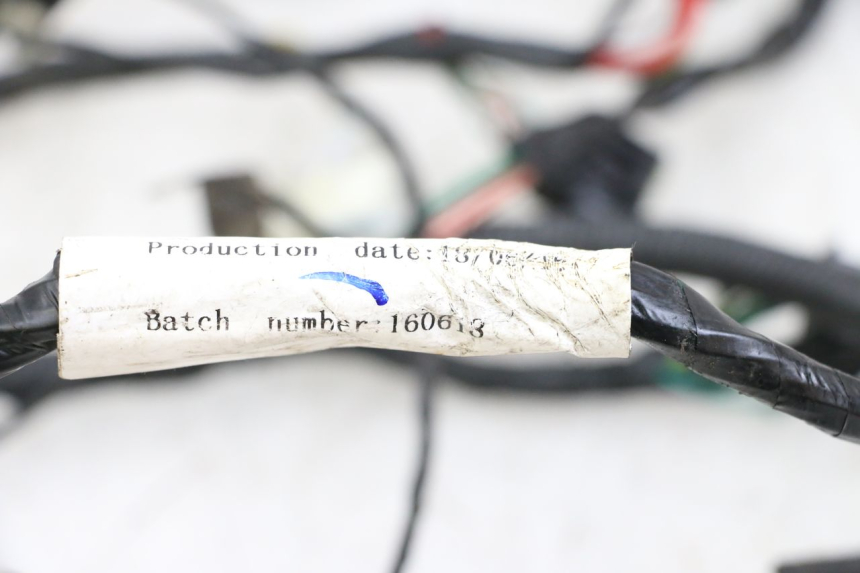 photo de WIRE HARNESS PEUGEOT SPEEDFIGHT 4 2T 50 (2015 - 2019)