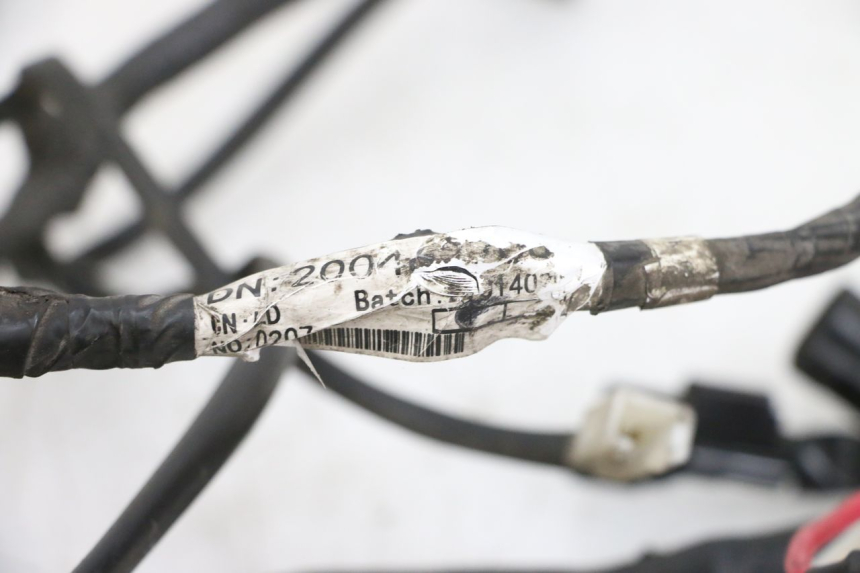 photo de WIRE HARNESS PEUGEOT SPEEDFIGHT 4 4T EFI 50 (2021 - 2025) - Component detail