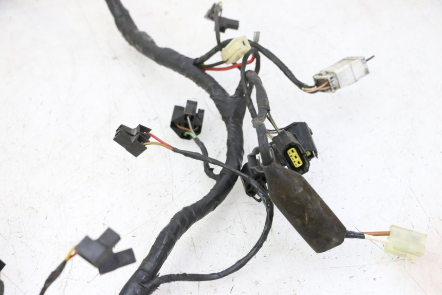photo de WIRE HARNESS TRIUMPH SPRINT 900 (1995 - 1998)