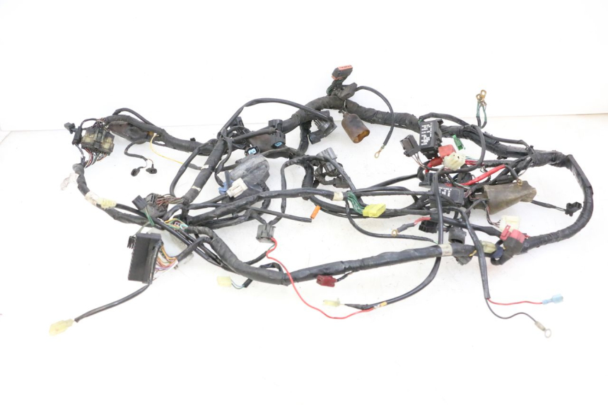 photo de WIRE HARNESS HONDA ST PAN EUROPEAN 1300 (2002 - 2013)