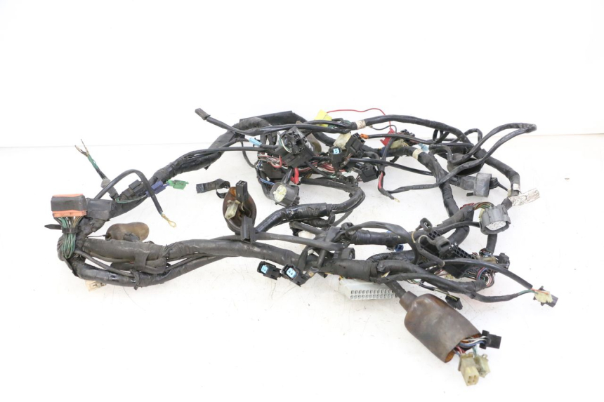photo de WIRE HARNESS HONDA ST PAN EUROPEAN 1300 (2002 - 2013)