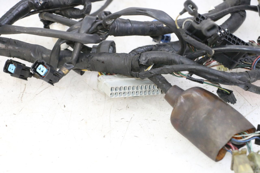 photo de WIRE HARNESS HONDA ST PAN EUROPEAN 1300 (2002 - 2013)