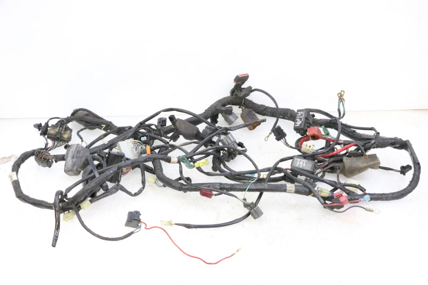 photo de WIRE HARNESS HONDA ST PAN EUROPEAN 1300 (2002 - 2013)