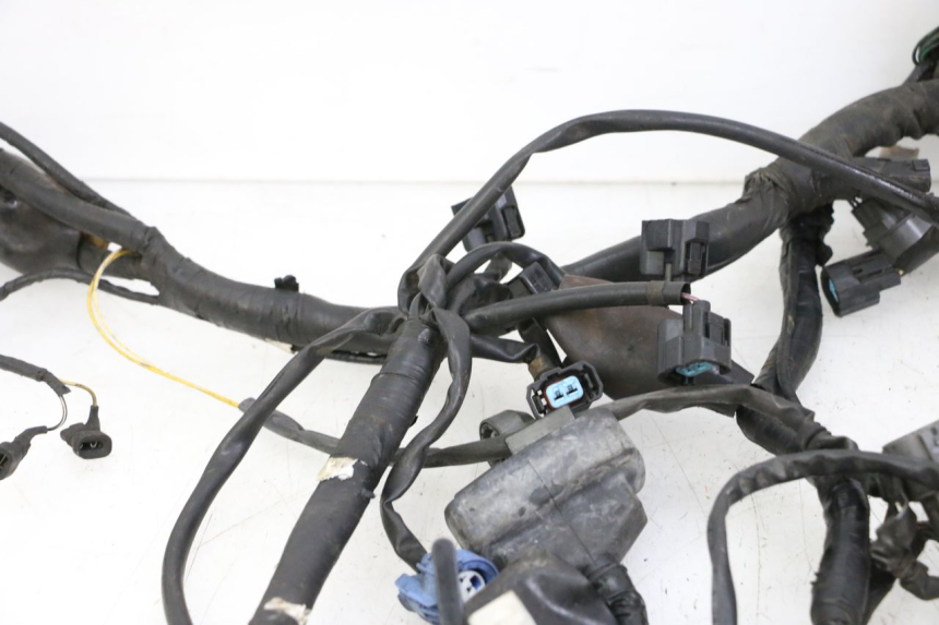 photo de WIRE HARNESS HONDA ST PAN EUROPEAN 1300 (2002 - 2013)