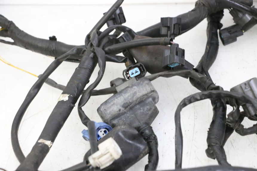photo de WIRE HARNESS HONDA ST PAN EUROPEAN 1300 (2002 - 2013)