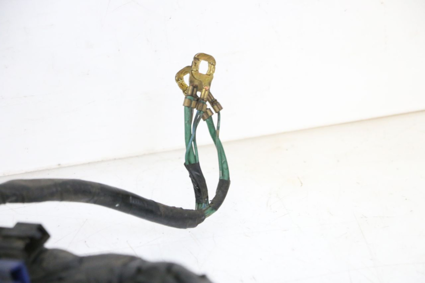 photo de WIRE HARNESS HONDA ST PAN EUROPEAN 1300 (2002 - 2013)