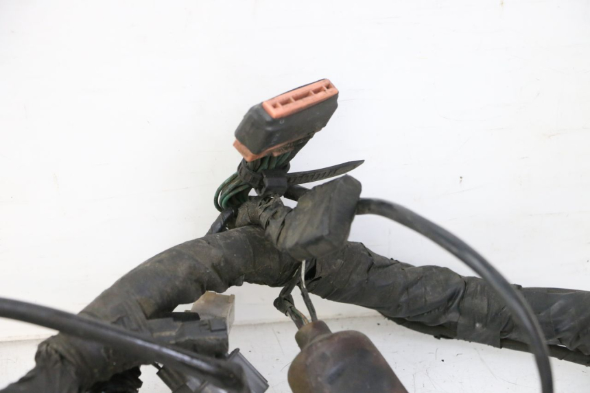 photo de WIRE HARNESS HONDA ST PAN EUROPEAN 1300 (2002 - 2013)