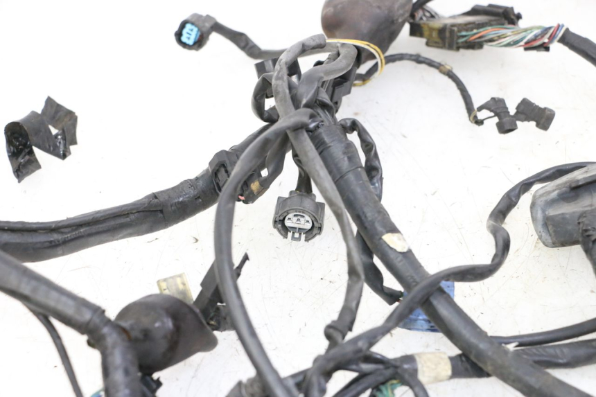 photo de WIRE HARNESS HONDA ST PAN EUROPEAN 1300 (2002 - 2013)