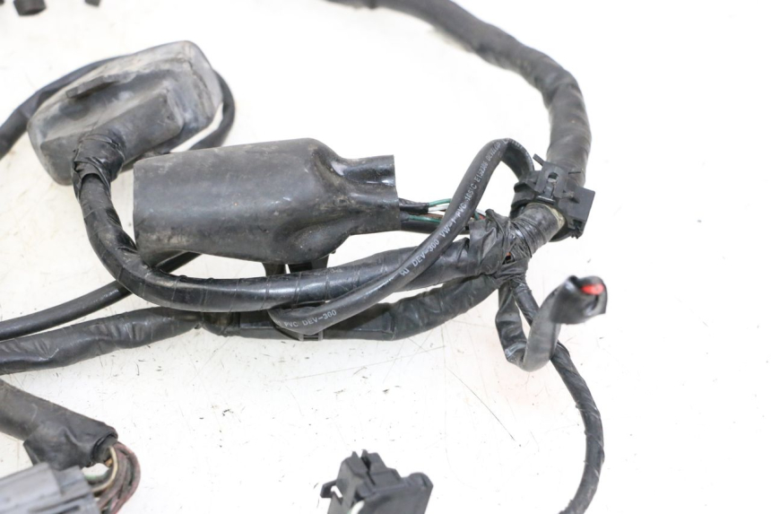 photo de WIRE HARNESS HONDA ST PAN EUROPEAN 1300 (2002 - 2013)