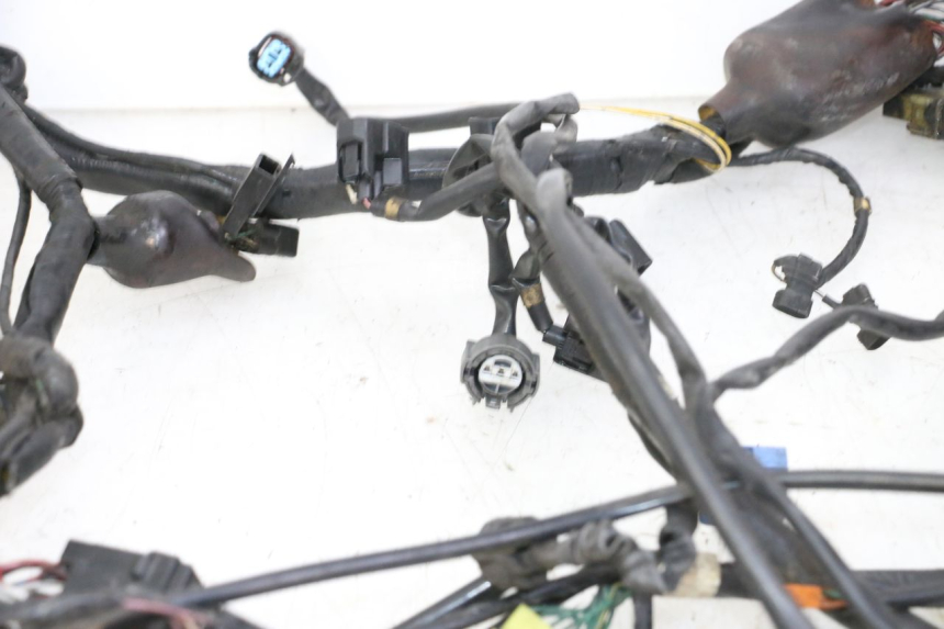 photo de WIRE HARNESS HONDA ST PAN EUROPEAN 1300 (2002 - 2013)