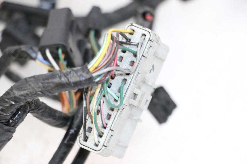 photo de WIRE HARNESS HONDA ST PAN EUROPEAN 1300 (2002 - 2013)