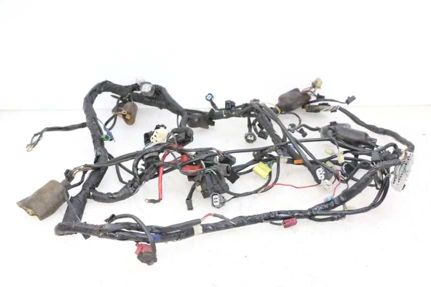 photo de WIRE HARNESS HONDA ST PAN EUROPEAN 1300 (2002 - 2013)