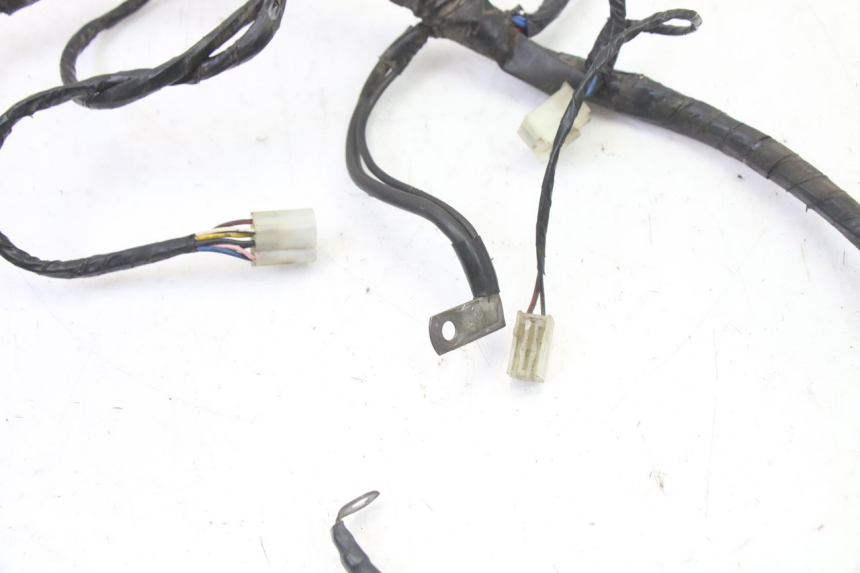 photo de WIRE HARNESS PIAGGIO SUPER LX 125 (2000 - 2003)