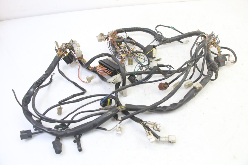 photo de WIRE HARNESS KTM SUPERENDURO R 950 (2005 - 2009)