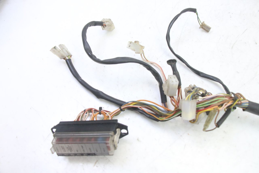 photo de WIRE HARNESS KTM SUPERENDURO R 950 (2005 - 2009)