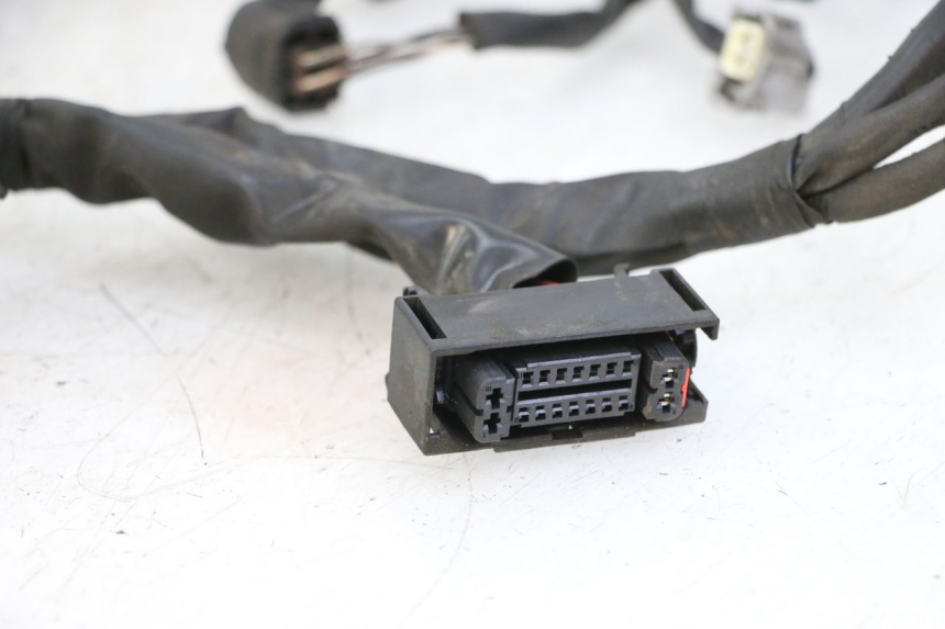 photo de WIRE HARNESS SUZUKI BURGMAN 125 (2015 - 2017)