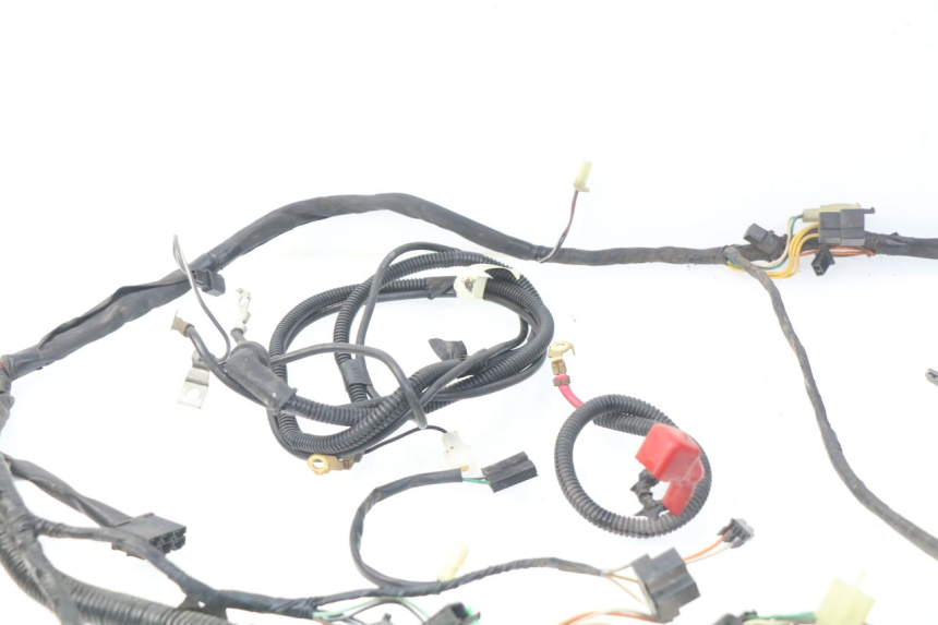 photo de WIRE HARNESS SUZUKI UC EPICURO 125 (1999 - 2003)