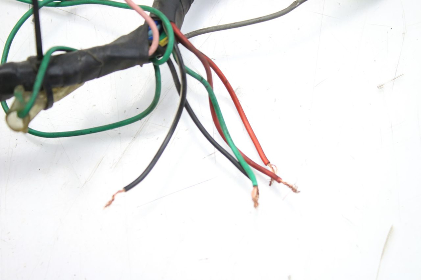photo de WIRING HARNESS PEUGEOT SV 125 (1991 - 1994)
