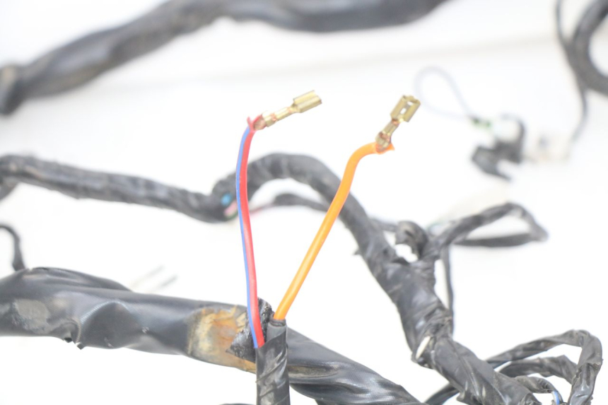 photo de WIRING HARNESS APRILIA SXR 50 (2021 - 2023)