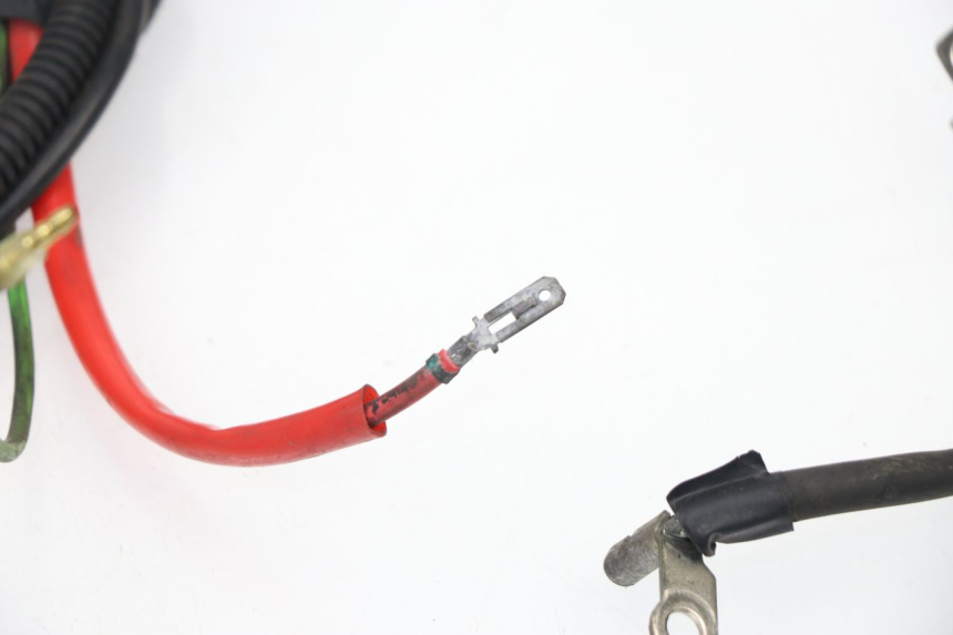 photo de WIRE HARNESS SYM GTS 125 (2005 - 2008)