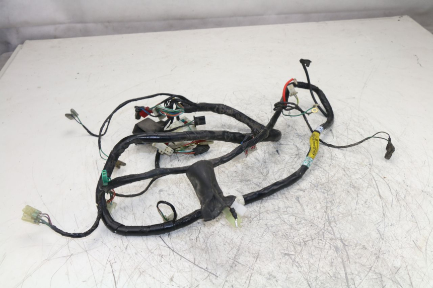 photo de WIRE HARNESS SYM JOYRIDE EVO 125 (2009 - 2016)