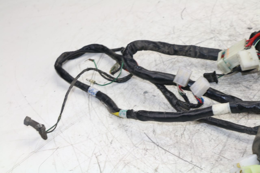 photo de WIRE HARNESS SYM JOYRIDE EVO 125 (2009 - 2016)