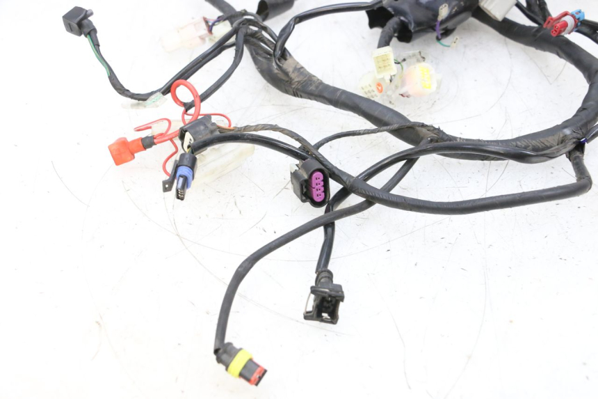 photo de WIRE HARNESS NECO TEMPO 4T 50 (2022 - 2026) - Component detail