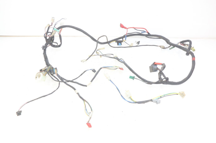photo de WIRING HARNESS TGB CITY 2 50 (2009 - 2013)