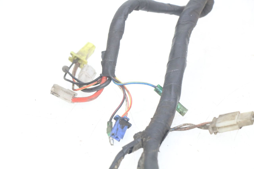 photo de WIRING HARNESS TGB CITY 2 50 (2009 - 2013)
