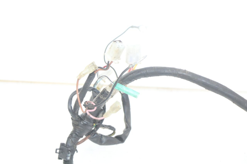 photo de WIRING HARNESS TGB CITY 2 50 (2009 - 2013)