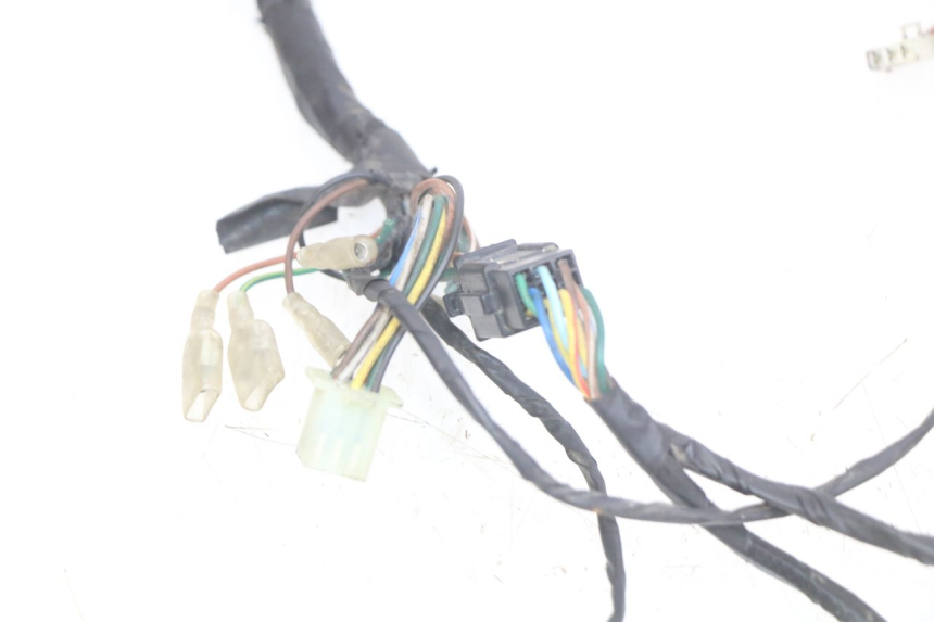 photo de WIRING HARNESS TGB CITY 2 50 (2009 - 2013)