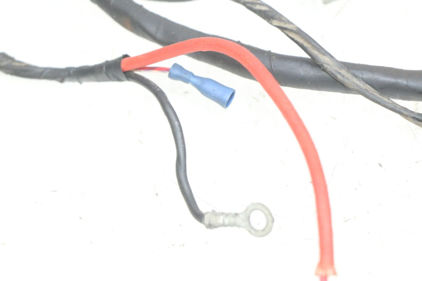 photo de WIRING HARNESS TGB CITY 2 50 (2009 - 2013)